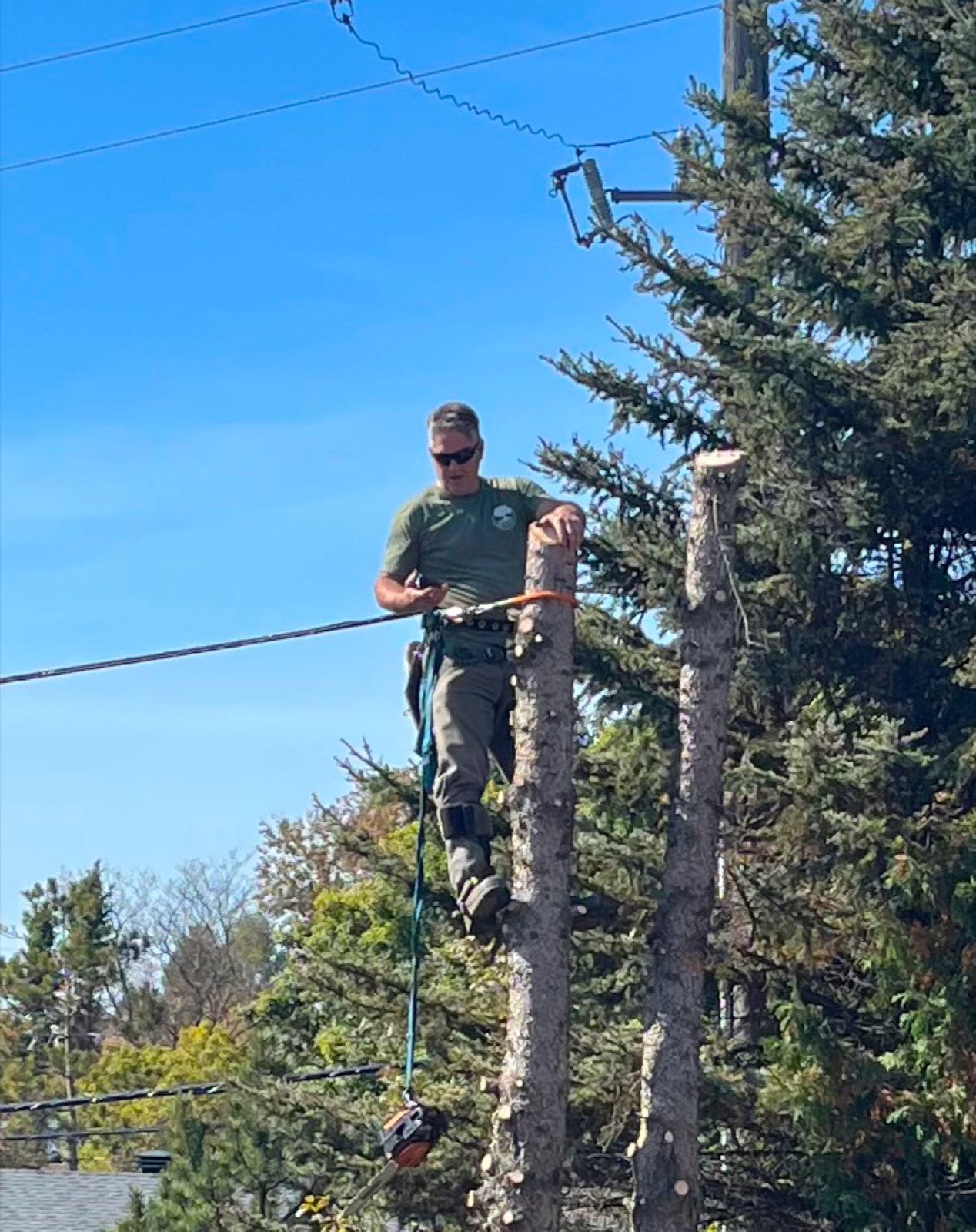 Climbing arborist rigging down a tree